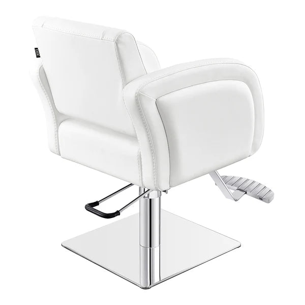 Anodic Salon Styling Chairs
