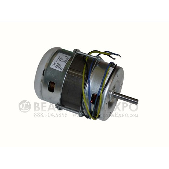 PofA - Main Motor for Massage 111, 222, & 777