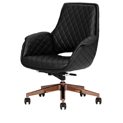 Jewel Gold Edition Salon Customer Chair