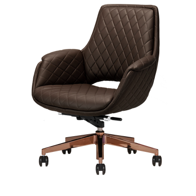 Jewel Gold Edition Salon Customer Chair