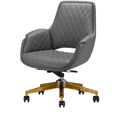 Jewel Gold Edition Salon Customer Chair