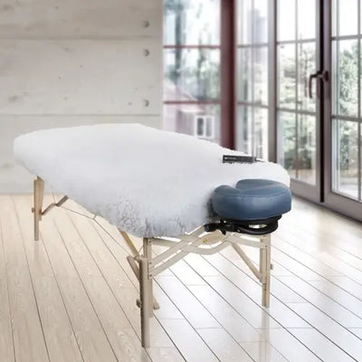 DLX™ Digital Massage Table Warmer