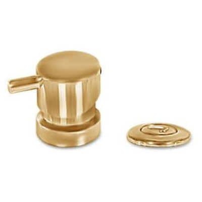 Gold Faucet, Switch, Knob Upgrade