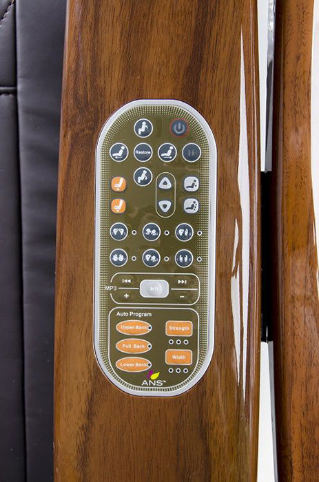 ANS - P20 Remote Control